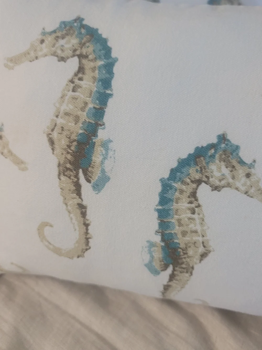 Coastal Seahorse Decorative Lumbar Pillow - White/Blue Set Of 2